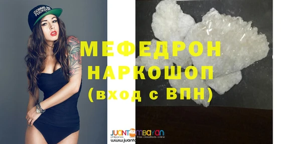 стаф Каменка