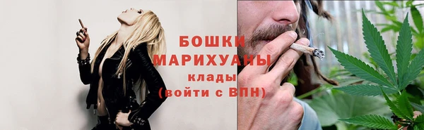 стаф Каменка