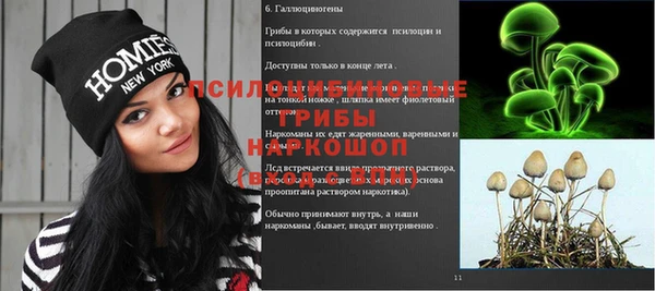 a pvp Карпинск