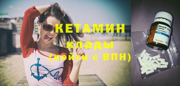 стаф Каменка